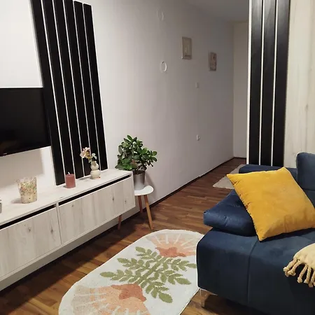 Vidakovic דירה *