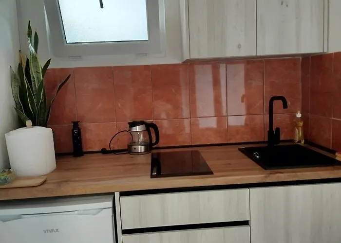 アパート Vidakovic