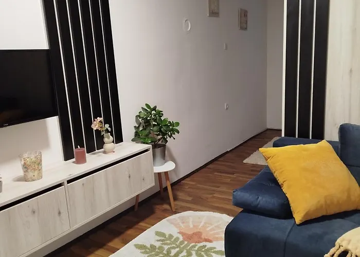 Vidakovic アパート *